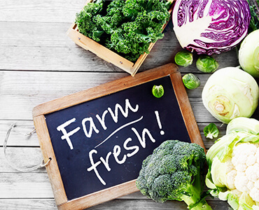 Discover Fresh Organic Farms In Canada Villages